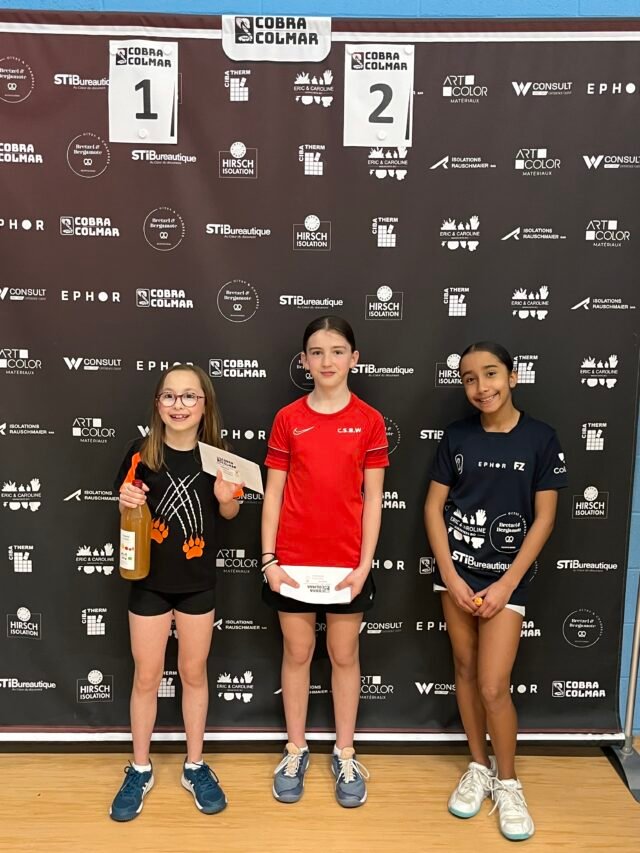 https://badminton-colmar.fr/wp-content/uploads/2026/03/Photo-04-04-2026-18-15-17-640x853.jpg